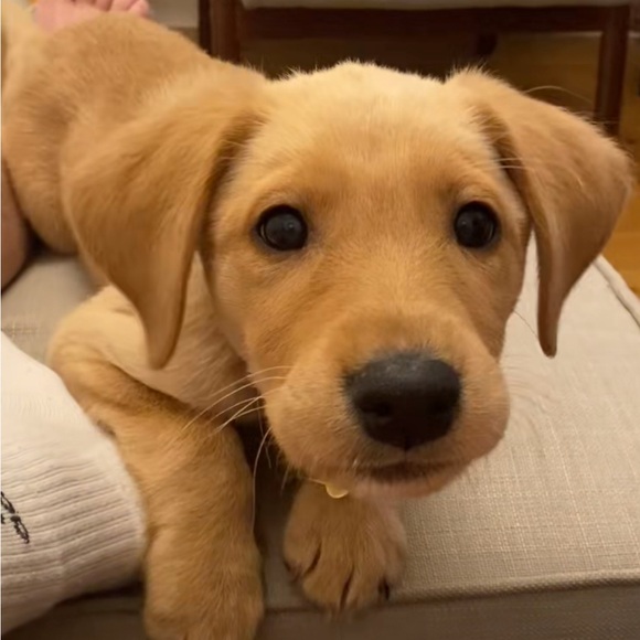 Introducing myself❤️ - Picture 4 of 4